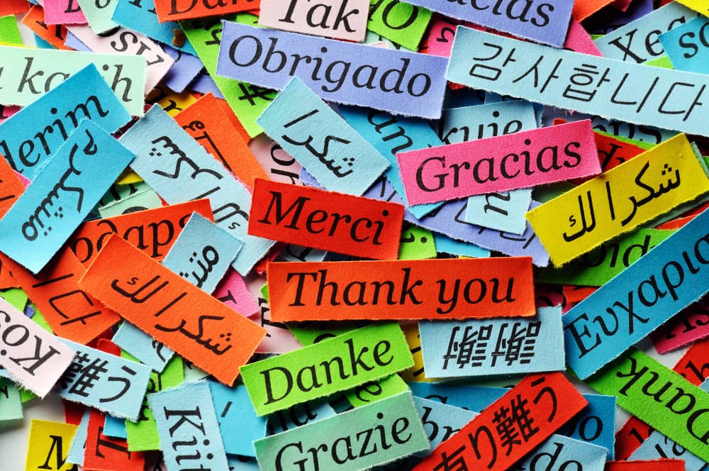 Check The Skills Of Multi Language Teachers